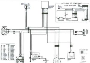 Atc 200 Wiring Diagram Sanyo Split Unit A C Wiring Diagrams Cciwinterschool org