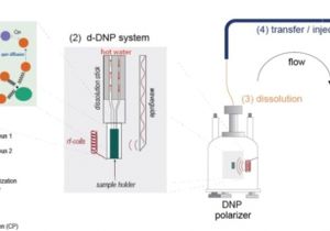 Atkinson Dynamics Ad 27 Wiring Diagram Hyperpolarized Nmr Spectroscopy D Dnp Phip and Sabre Atkinson Dynamics Ad 27 Wiring Diagram Hyperpolarized Nmr Spectroscopy D Dnp Phip and Sabre