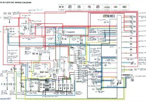Audi A3 Rear Lights Wiring Diagram Audi A4 Tail Light Wiring Diagram Wiring Diagram Center Audi A3 Rear Lights Wiring Diagram Audi A4 Tail Light Wiring Diagram Wiring Diagram Center