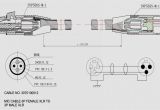 Audi A3 Rear Lights Wiring Diagram Audi A4 Tail Light Wiring Diagram Wiring Diagram Center