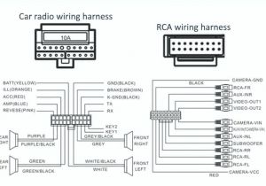 Audi A4 Stereo Wiring Diagram Raptor Car Stereo Wiring Harness Wiring Diagram Blog