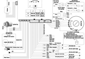 Auto Command Remote Starter Wiring Diagram Tl2250 Remote Start Wiring Harness Wiring Diagram Article Review