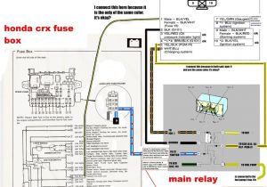 Autoloc Door Popper Wiring Diagram Wiring Diagram Dseriesorg Wiring Diagram Database Site Autoloc Door Popper Wiring Diagram Wiring Diagram Dseriesorg Wiring Diagram Database Site