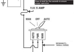 Automatic Bilge Pump Wiring Diagram Rule 1100 Gph Automatic Bilge Pump Wiring Diagram