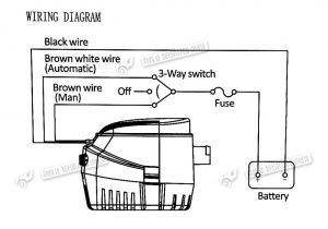 Automatic Bilge Pump Wiring Diagram Rule Automatic Bilge Pump Wiring Diagram Wiring Diagram