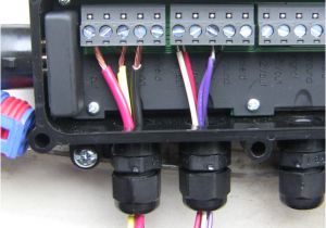 Autometer Fuel Pressure Gauge Wiring Diagram Installing Auto Meter Fuel Pressure Gauge with Racepak Usm Autometer Fuel Pressure Gauge Wiring Diagram Installing Auto Meter Fuel Pressure Gauge with Racepak Usm