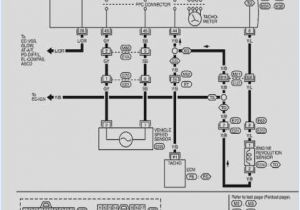 Autotecnica Gauge Wiring Diagram Nissan Patrol Wiring Diagram Wiring Diagrams