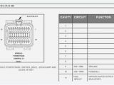 Avic Z130bt Wiring Diagram Pioneer Avic Z110bt Wiring Diagram somurich Com