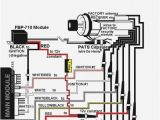 Avital 4103 Wiring Diagram Bulldog Wire Diagrams Wiring Diagram Operations