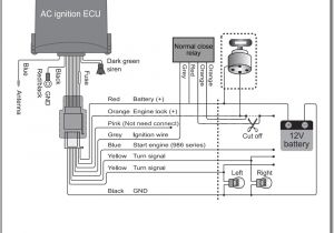 Avital 4113 Wiring Diagram Stinger Car Alarm Wiring Diagram Wiring Diagram Show Avital 4113 Wiring Diagram Stinger Car Alarm Wiring Diagram Wiring Diagram Show