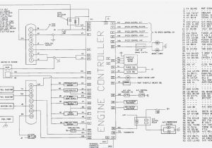Avs 9 Switch Box Wiring Diagram 6 Switch Box Wiring Diagram Wiring Diagrams for