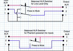 Balanced Xlr Wiring Diagram Xlr Wiring Diagram Lable Wiring Diagram Ebook