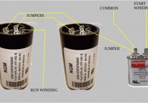 Baldor 5hp Motor Wiring Diagram Baldor Motor Capacitor Wiring Wiring Diagram Operations