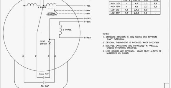 Baldor 5hp Motor Wiring Diagram Baldor Wiring Diagram Data Schematic Diagram