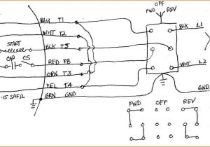 Baldor Motor Wiring Diagram Dayton Electric Motor Diagram Schema Wiring Diagram Baldor Motor Wiring Diagram Dayton Electric Motor Diagram Schema Wiring Diagram