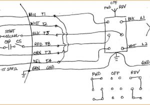 Baldor Motor Wiring Diagram Dayton Electric Motor Diagram Schema Wiring Diagram