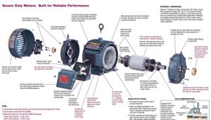Baldor Reliance Industrial Motor Wiring Diagram Baldor Lemug