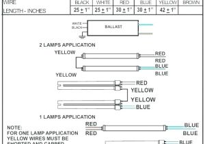 Ballast Wiring Diagrams 1 Lamp T8 Ballast Informasicpnsbumn Co