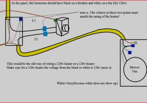 Baseboard Heater Wiring Diagram 240v 120v Baseboard Heater Wiring Diagram Ecourbano Server Info