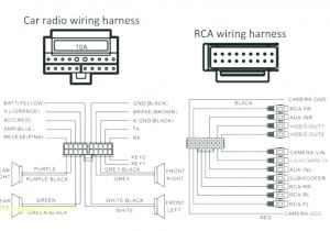 Basic Car Stereo Wiring Diagram Radio Car Wiring Diagram Faithfuldynamicsinternational Com Basic Car Stereo Wiring Diagram Radio Car Wiring Diagram Faithfuldynamicsinternational Com