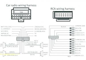 Basic Car Stereo Wiring Diagram Radio Car Wiring Diagram Faithfuldynamicsinternational Com