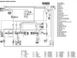 Basic Ignition Switch Wiring Diagram Yfm 350 Wiring Diagram Life at the End Of the Road
