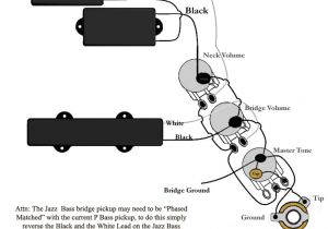 Bass Guitar Wiring Diagrams Standard Jazz B Wiring Diagram Wiring Diagram View