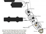 Bass Wiring Diagrams Squier P Bass Wiring Diagram Wiring Diagram