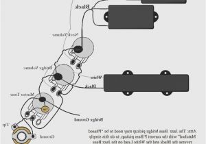 Bazooka Tube Wiring Harness Diagram Jazz Bass Wiring Diagram Fender Lupa Repeat12 Klictravel Nl