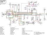 Bcm 50 Wiring Diagram Banshee Wire Diagram Wiring Diagram