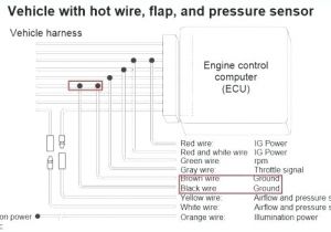Bee R Rev Limiter Wiring Diagram toyota 4age 20v Wiring Diagram Diaryofamrs Com Bee R Rev Limiter Wiring Diagram toyota 4age 20v Wiring Diagram Diaryofamrs Com