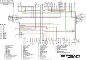 Bee R Rev Limiter Wiring Diagram toyota Sd Sensor Wiring Diagram Wiring Diagram Ebook Bee R Rev Limiter Wiring Diagram toyota Sd Sensor Wiring Diagram Wiring Diagram Ebook