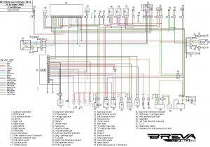 Bee R Rev Limiter Wiring Diagram toyota Sd Sensor Wiring Diagram Wiring Diagram Ebook