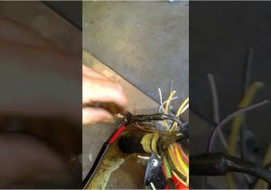 Bee R Rev Limiter Wiring Diagram toyota Wiring A 1uzfe Engine On the Ground Youtube Bee R Rev Limiter Wiring Diagram toyota Wiring A 1uzfe Engine On the Ground Youtube