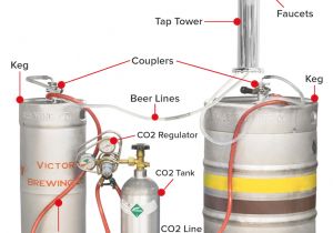 Bee R Wiring Diagram Beer Tap Diagram Wiring Diagram Datasource