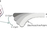 Bernard Actuator Wiring Diagram Development Of A Smart Guide Wire Using An Electrostrictive Polymer