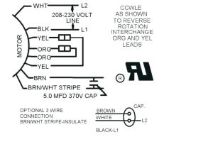 Berner Air Curtain Wiring Diagram Mars Wiring Diagram Wiring Diagram Data Berner Air Curtain Wiring Diagram Mars Wiring Diagram Wiring Diagram Data