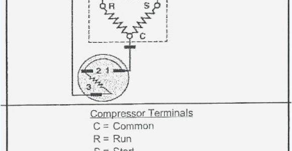 Beverage Air Mt27 Wiring Diagram Beverage Air Mt27 Wiring Diagram Best Of Beverage Air Refrigerator