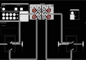 Bi Amp Speaker Wiring Diagram 3 Speaker Wiring Diagram Wiring Diagram Database
