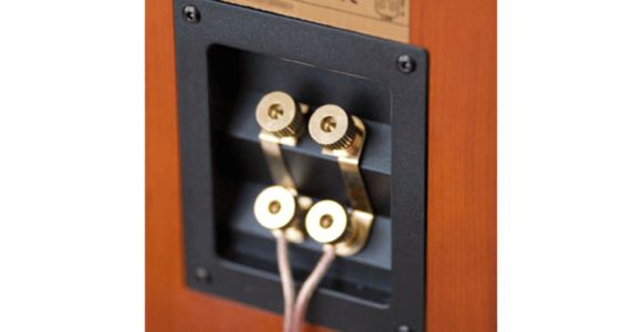 Bi Amp Speaker Wiring Diagram How to Bi Wire and Bi Amp Stereo Speakers