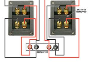 Bi Amp Speaker Wiring Diagram Jak Dziaa A Bi Wire I Bi Amp Baza Wiedzy Bi Amp Speaker Wiring Diagram Jak Dziaa A Bi Wire I Bi Amp Baza Wiedzy