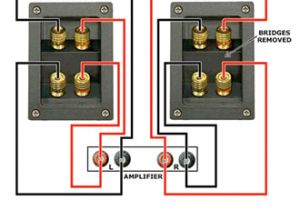 Bi Amp Speaker Wiring Diagram Jak Dziaa A Bi Wire I Bi Amp Baza Wiedzy