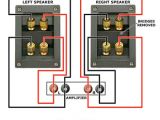 Bi Amp Wiring Diagram Jak Dziaa A Bi Wire I Bi Amp Baza Wiedzy Bi Amp Wiring Diagram Jak Dziaa A Bi Wire I Bi Amp Baza Wiedzy