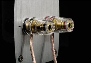 Bi Wire Speaker Connection Diagram How to Connect Speakers Using Speaker Wire Bi Wire Speaker Connection Diagram How to Connect Speakers Using Speaker Wire