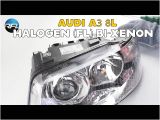 Bi Xenon Hid Wiring Diagram Audi A3 Headlight Upgrade Audi A3 8l Halogen Fl Bi Xenon