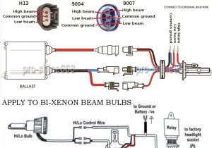 Bi Xenon Hid Wiring Diagram Xenon Wiring Diagram source Wiring Diagram