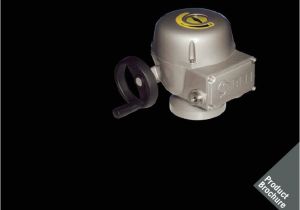 Biffi Actuator Wiring Diagram Electric Actuator Biffi Keystone F02 En Pdf Power Supply Biffi Actuator Wiring Diagram Electric Actuator Biffi Keystone F02 En Pdf Power Supply