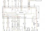 Big Dog Wiring Diagram Big Dog Wiring Wiring Diagram Centre