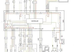 Big Dog Wiring Diagram Big Dog Wiring Wiring Diagram Centre Big Dog Wiring Diagram Big Dog Wiring Wiring Diagram Centre
