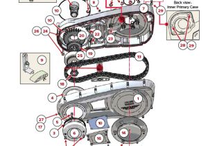 Big Dog Wiring Diagram Parts Finder Big Dog Motorcycles Wichita Ks Big Dog Wiring Diagram Parts Finder Big Dog Motorcycles Wichita Ks